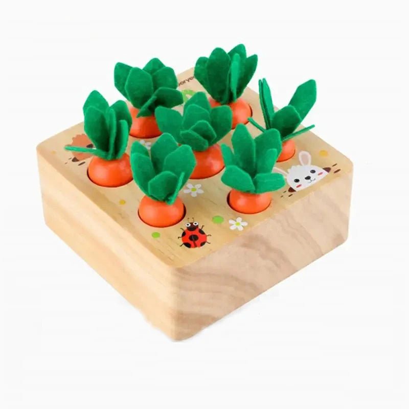 Montessori Carrot Harvest Toy - OctoCare