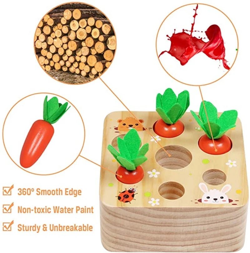 Montessori Carrot Harvest Toy - OctoCare