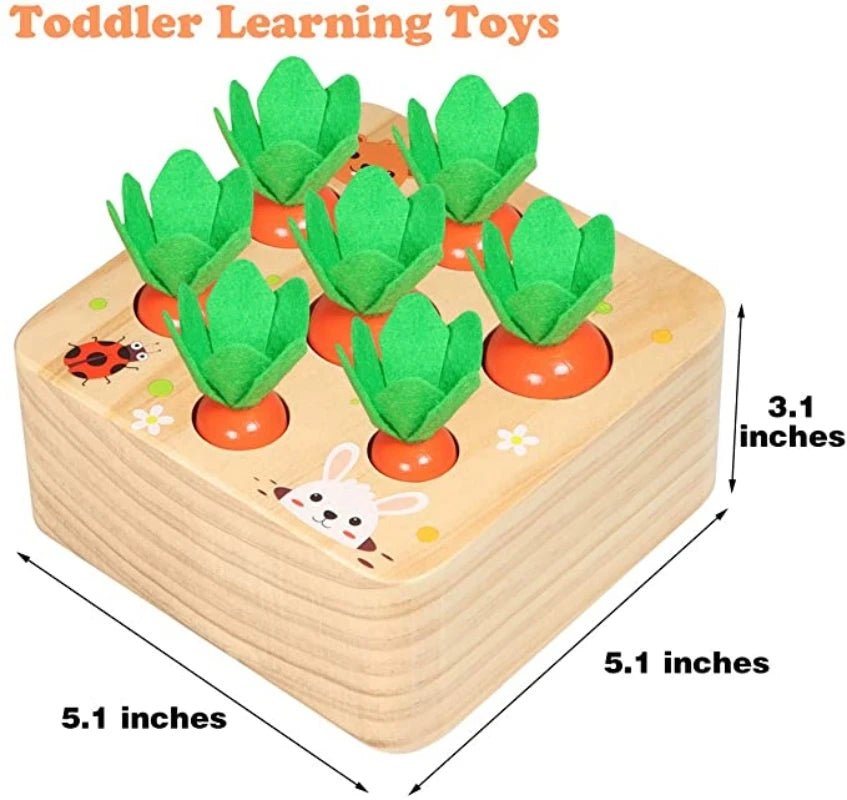 Montessori Carrot Harvest Toy - OctoCare