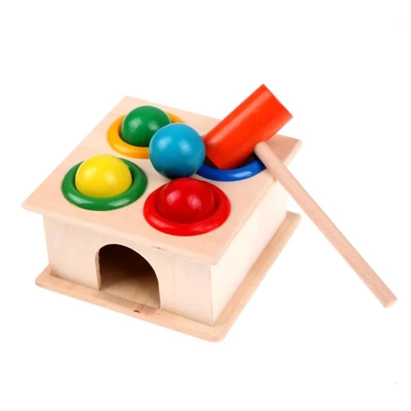 Montessori Carrot Harvest Toy - OctoCare
