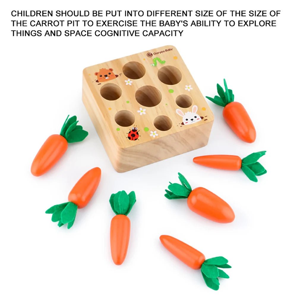 Montessori Carrot Harvest Toy - OctoCare