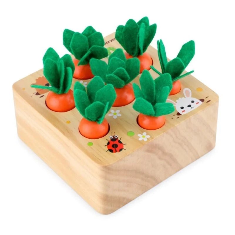 Montessori Carrot Harvest Toy - OctoCare