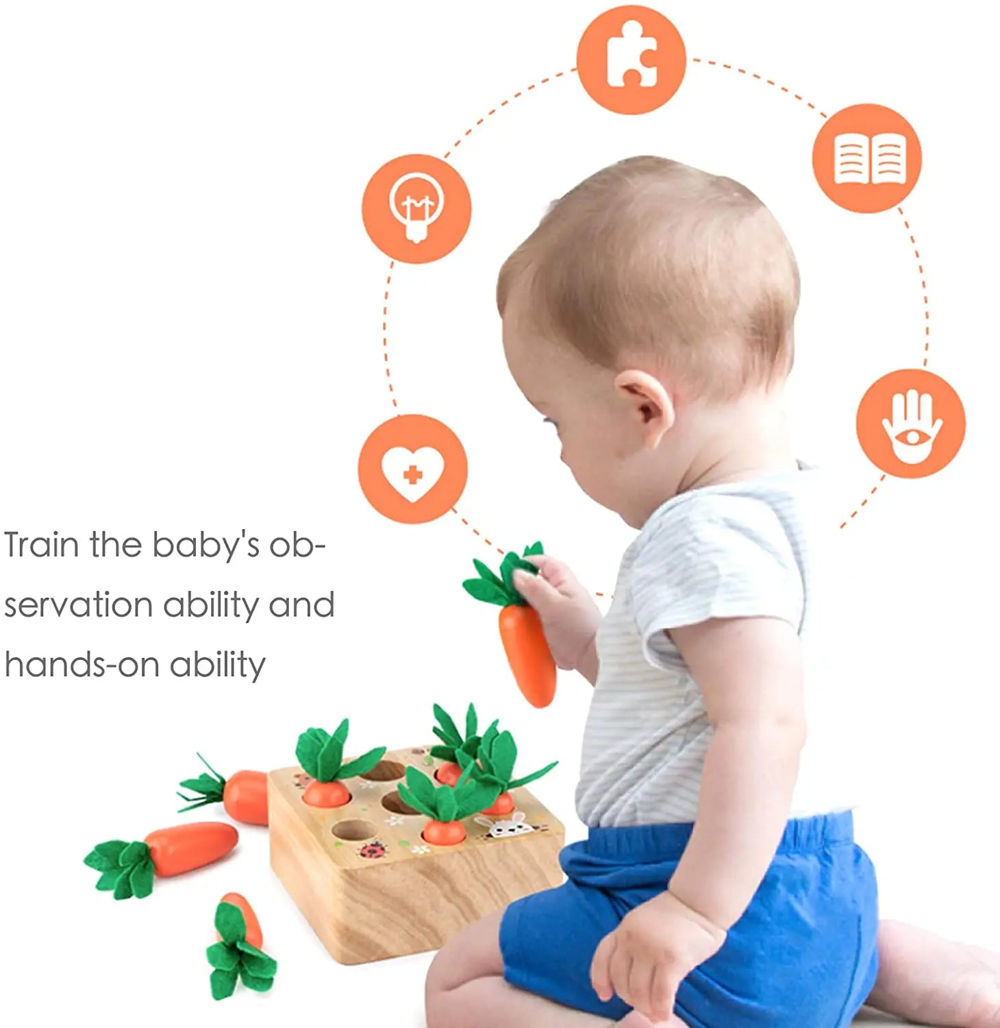 Montessori Carrot Harvest Toy - OctoCare