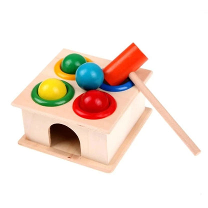 Montessori Carrot Harvest Toy - OctoCare