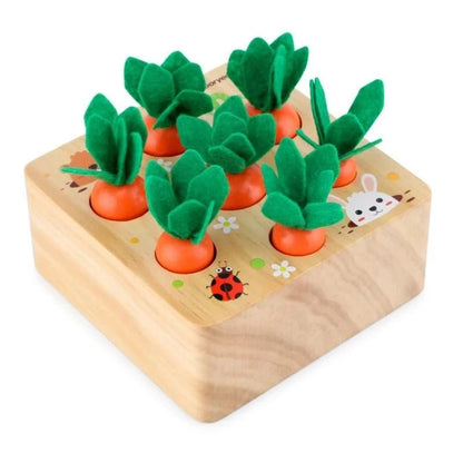 Montessori Carrot Harvest Toy - OctoCare